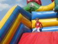 /album/a2011/img-0175-jpg/